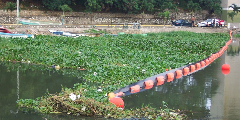 invasivo_boom_planta_agua_01